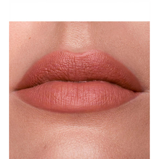 Vipstick Matte Lip Color Long Lasting