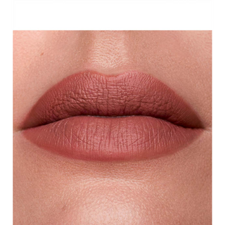 Vipstick Matte Lip Color Long Lasting