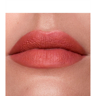 Vipstick Matte Lip Color Long Lasting