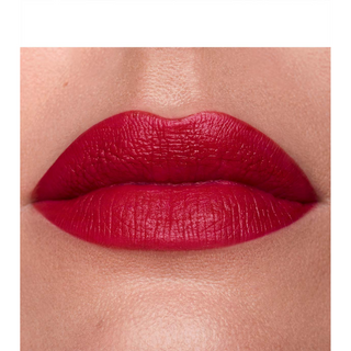 Vipstick Matte Lip Color Long Lasting
