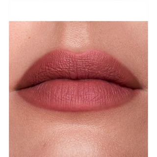 Vipstick Matte Lip Color Long Lasting